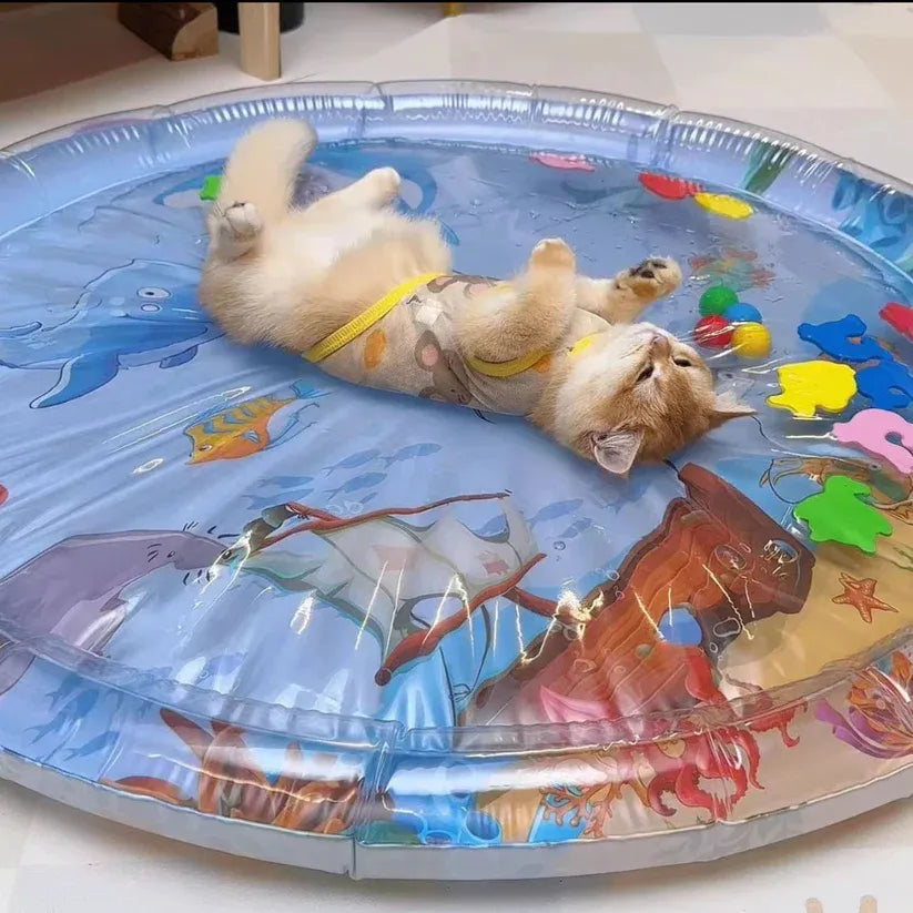 Cat on the Water Mat