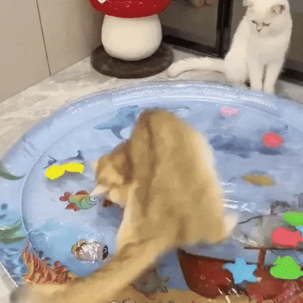 A cat is playing with a blue cat toy mat featuring various plush toys, including a fish and a star, with a second cat watching from a distance.