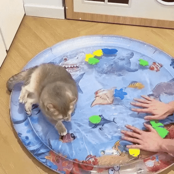 Cat Laying down on the Water Mat