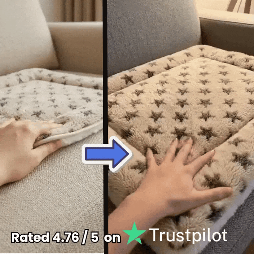 Upgrade To The Premium Version (Double the Size, Double the Plush)