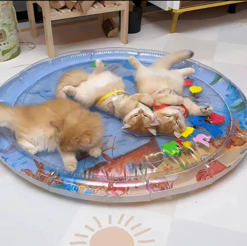 Cats on the Water Mat