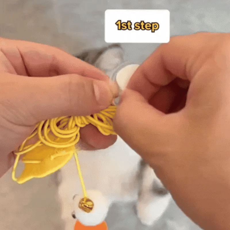 Cat Dangle Fun