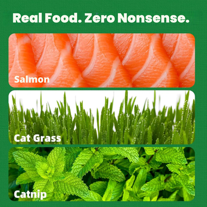 Cat-grass Hairball Treats [Free Today]