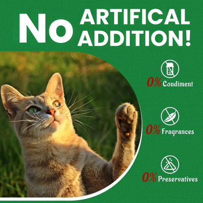 Cat-grass Hairball Treats [Free Today]