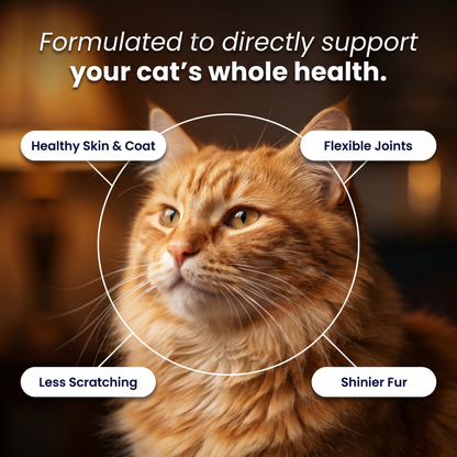 Wild Alaskan Salmon Oil [Free Today]