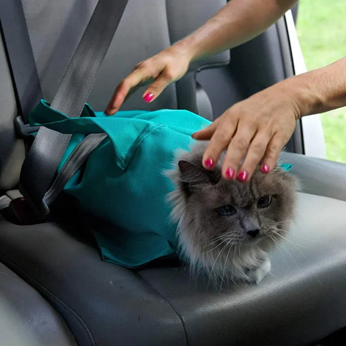 Cat Carrier Pouch [Free Today]