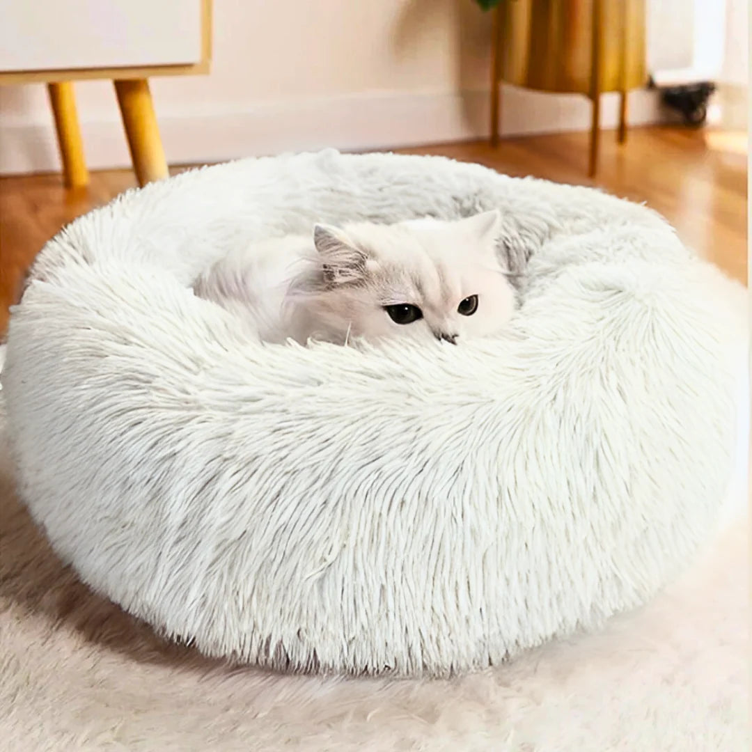Premium Plush Cat Beds