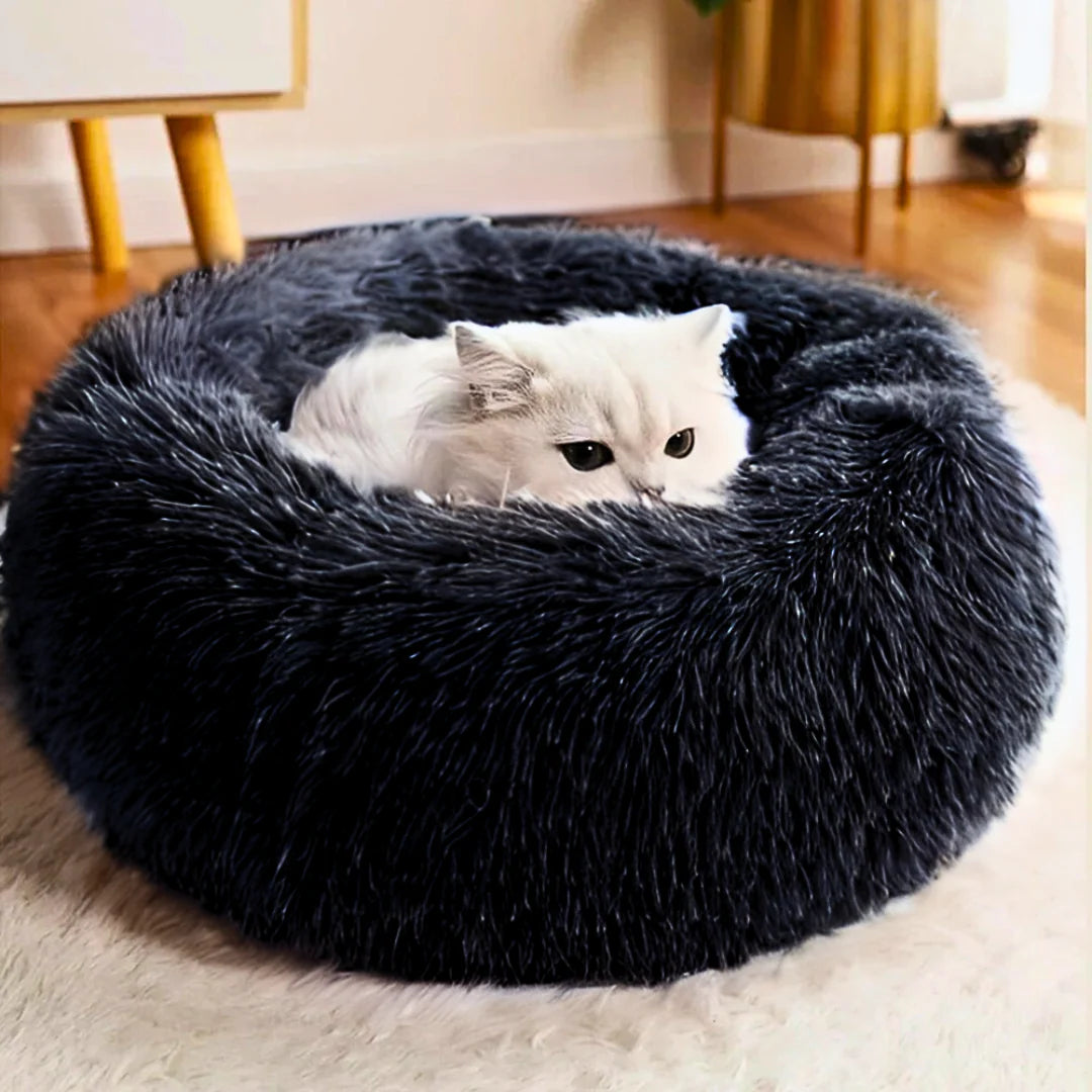 Premium Plush Cat Beds