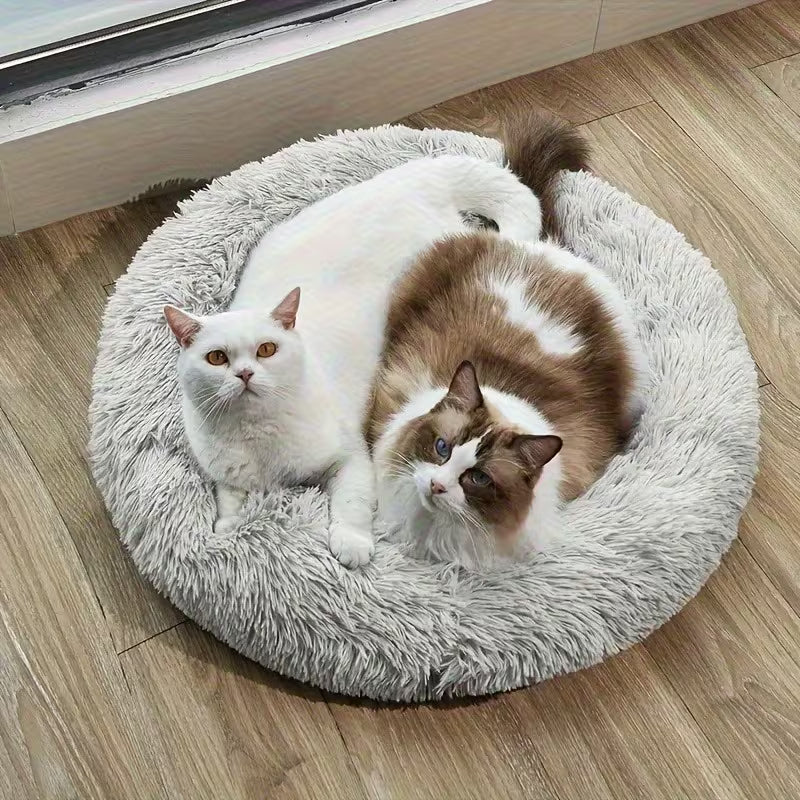 Premium Plush Cat Beds