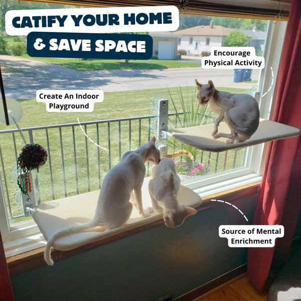 Suction Cup Window Hammock