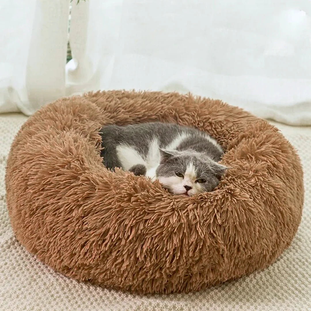 Premium Plush Cat Beds