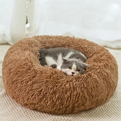 Premium Plush Cat Beds