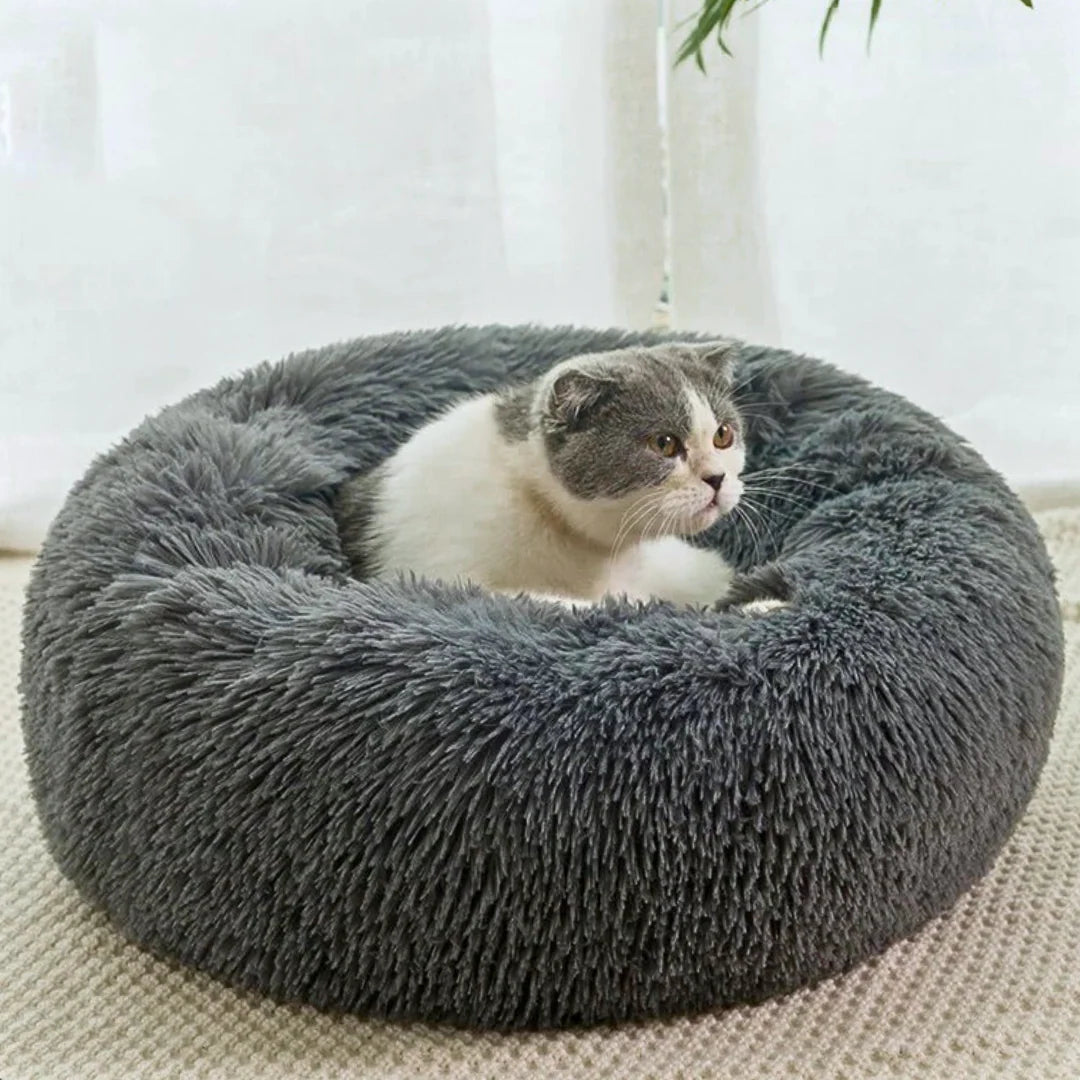 Premium Plush Cat Beds