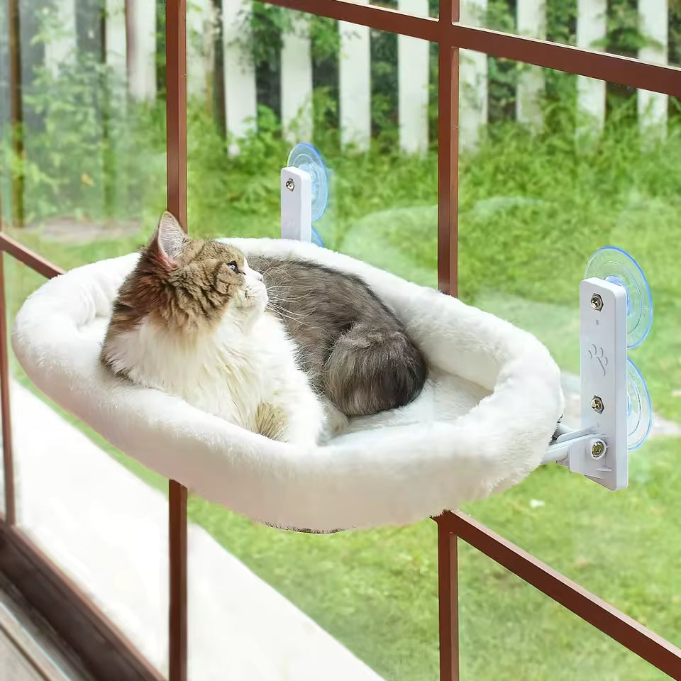 Suction Cup Window Hammock