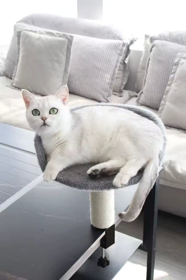 Premium Desk Hammock