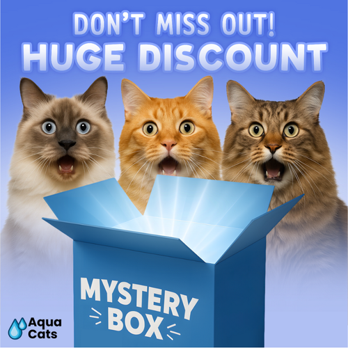 Kitten Toy Box (Valued at $150)