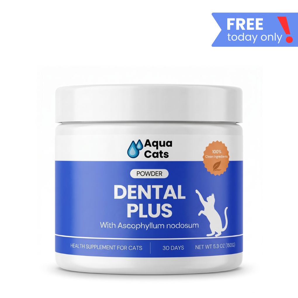 Dental Plus Powder [Free Today]