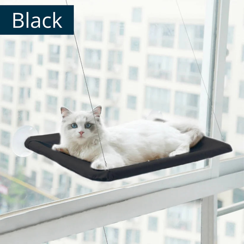 Indoor Cat Hammock