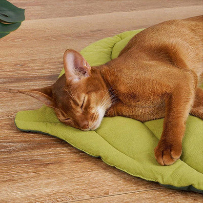 Leaf Comfy Double-Sided Cat Mat