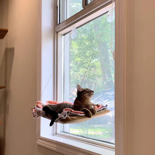 Indoor Cat Hammock