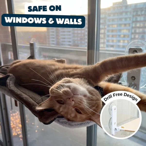 Suction Cup Window Hammock