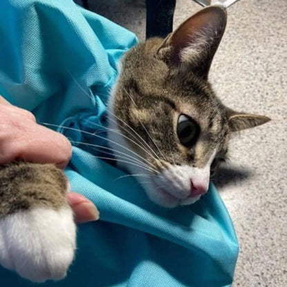 Cat Carrier Pouch [Free Today]